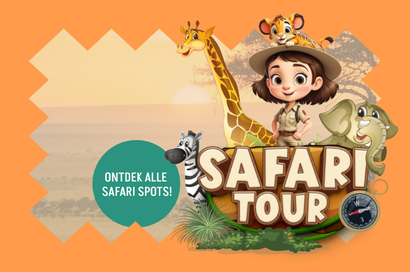 Safari Tour Block Teaser - algemeen